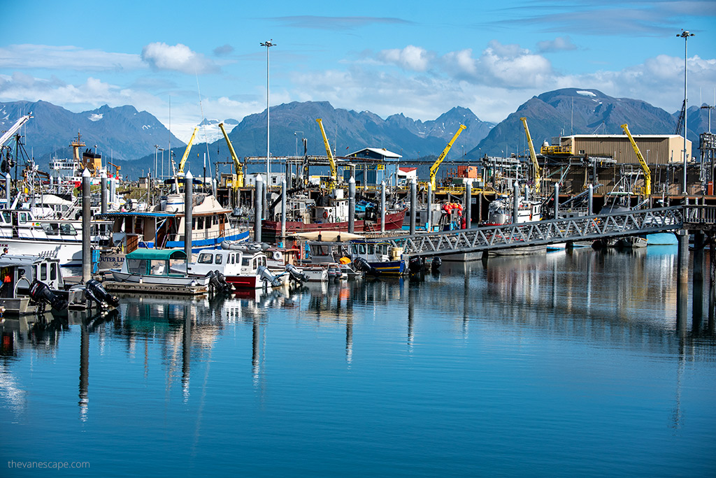 Homer Boat Harbor.
