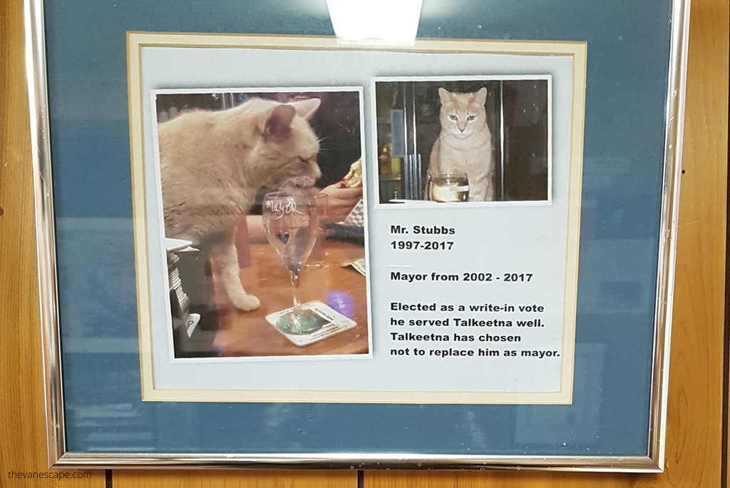 Talkeetna Historical Society Museum - Mr. Stubbs.