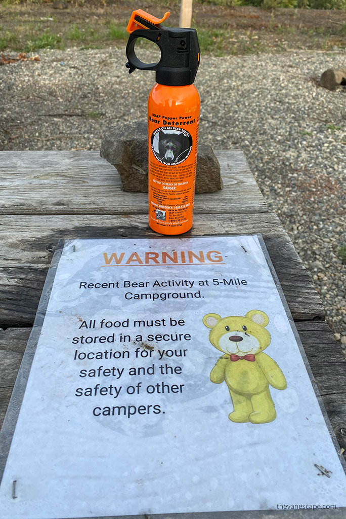 Our bear spray on 5-MIle Campground on Dalton Highway.