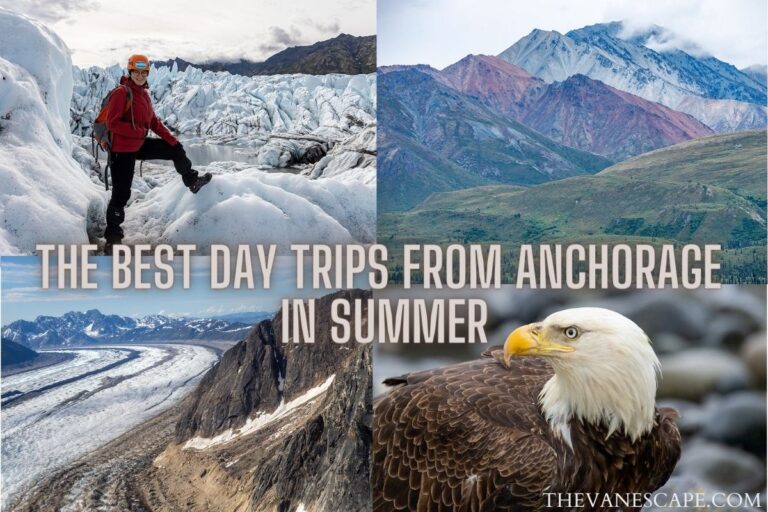 The Best Day Trips From Anchorage in Summer 2024