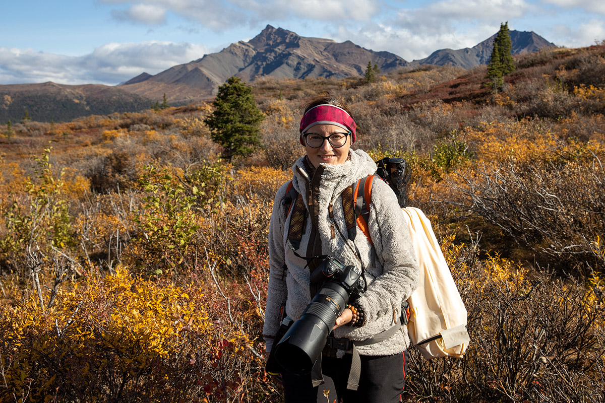 23 Best Things to Do in Denali National Park