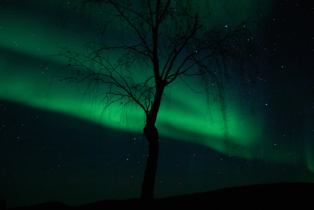 Aurora Borealis - Northern Lights.