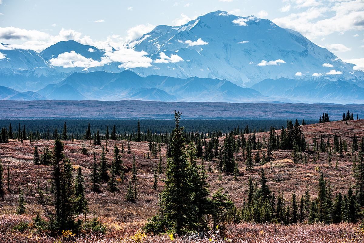 The view of Mount Denali the highest peak in North America from McKinley River Bar Trail at Mile 85 in the Wonder Lake area.