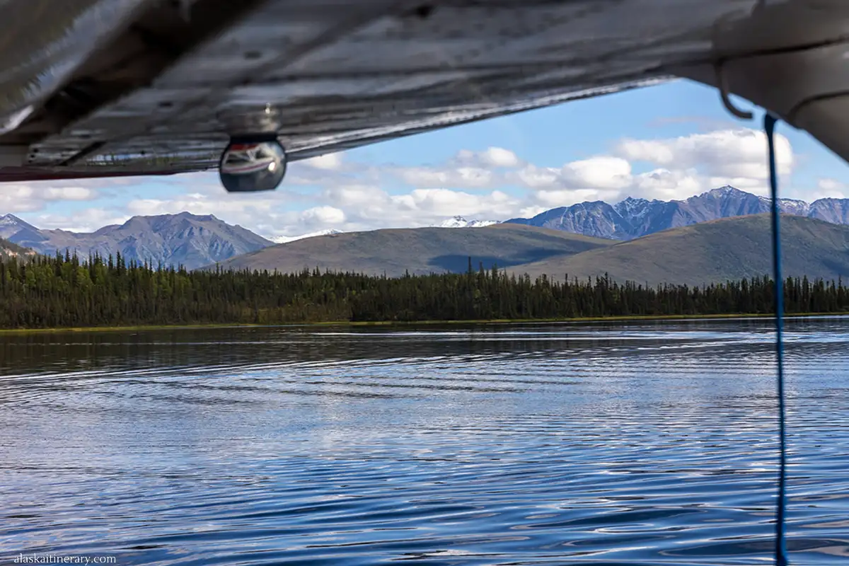 Landing on the lake in the park.
