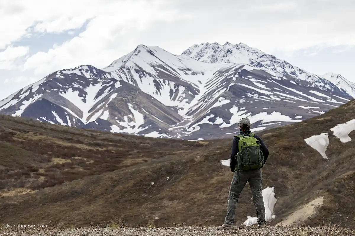 Agnes Stabinska, the author, hiking in Denali National Park.
