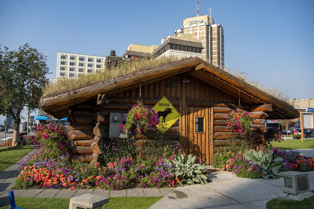 Log Cabin Visitor Center in Anchorage downtown.
