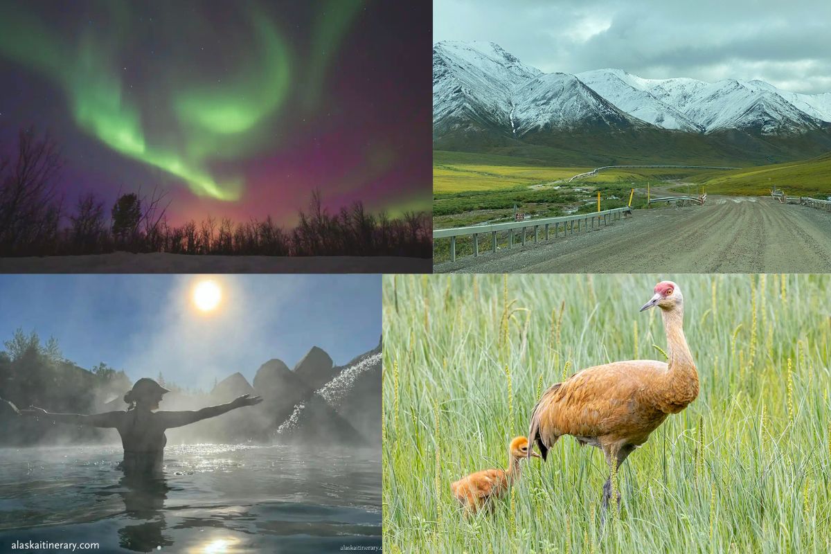 Photo collage with best time to visit Fairbanks: for northern lights viewing, Midnight Sun, bird watching, scenic Arctic drives.