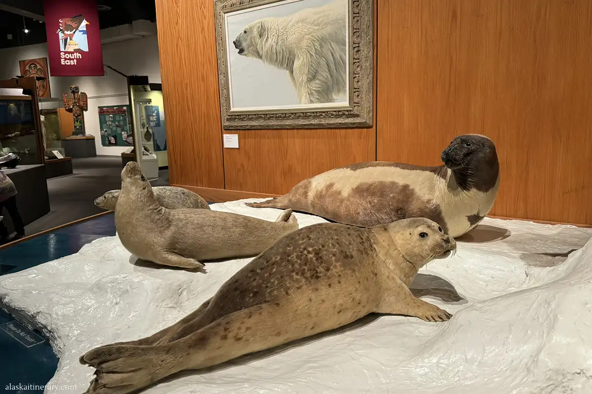 University of Alaska Museum of the North.