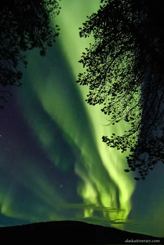 Aurora borealis in Alaska.