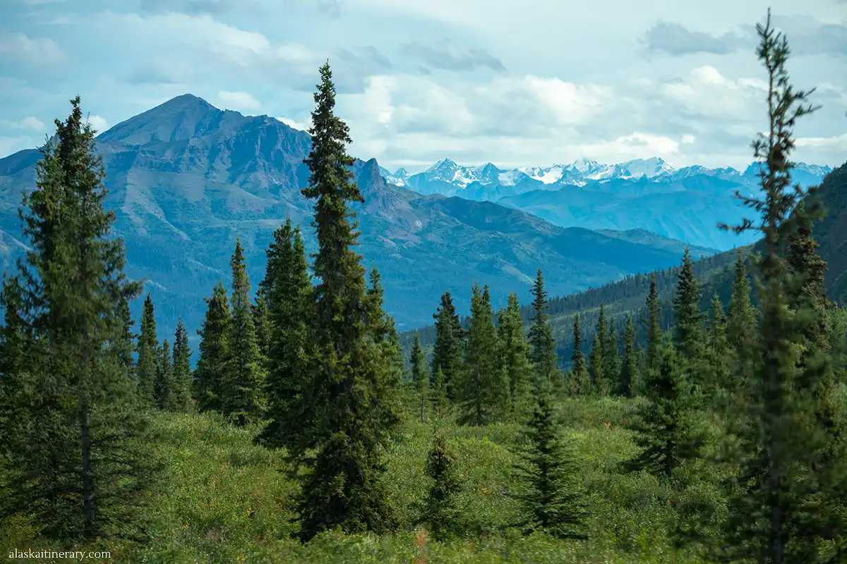 Mountains and trees in Denali.