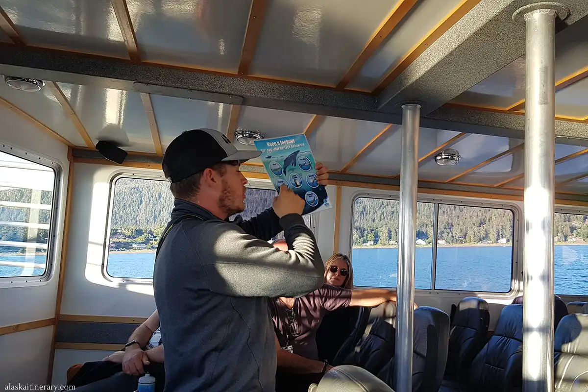 Juneau whale watching tour review - our guide from Alaska Tales showcasing photos of whale tails.