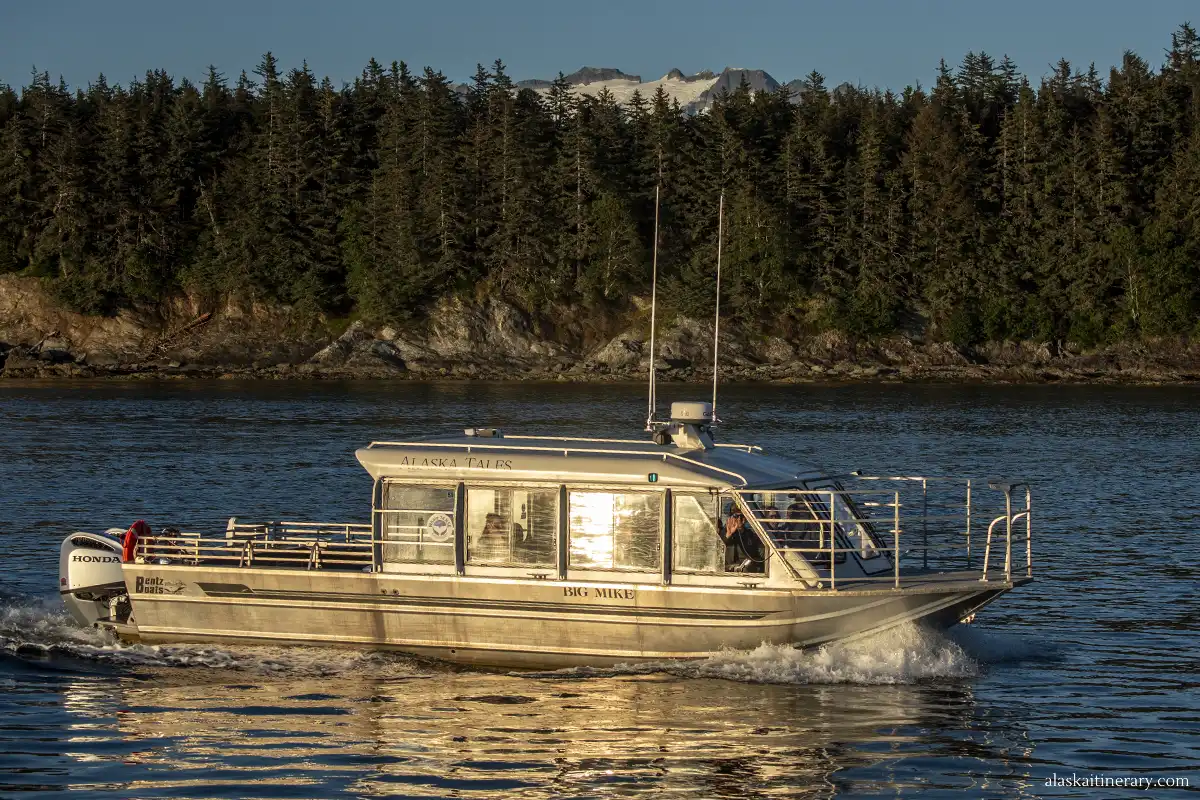 Our tour operator - Alaska Tales vessel during sunset on whale-watching tour.