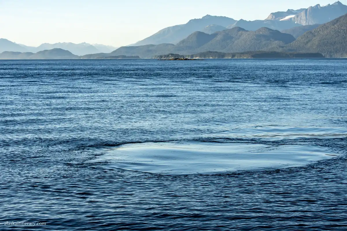Inside Passage - sea and mountains.