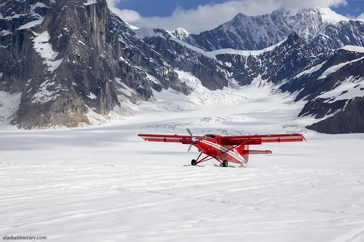 Scenic flight with landing on the glacier from Talkeetna.