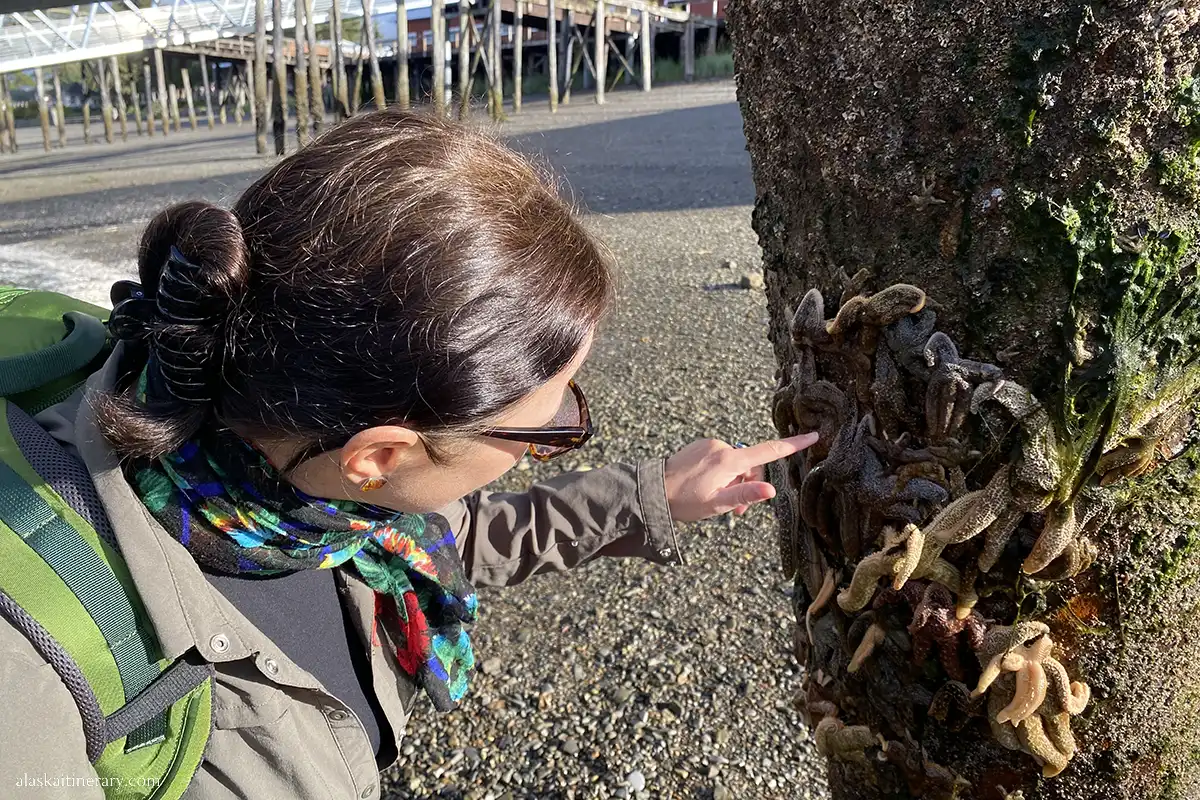 Agnes Stabinska, author, walks on the beach at Icy Strait Point and admires the colorful starfish that have stuck to the pier pole.