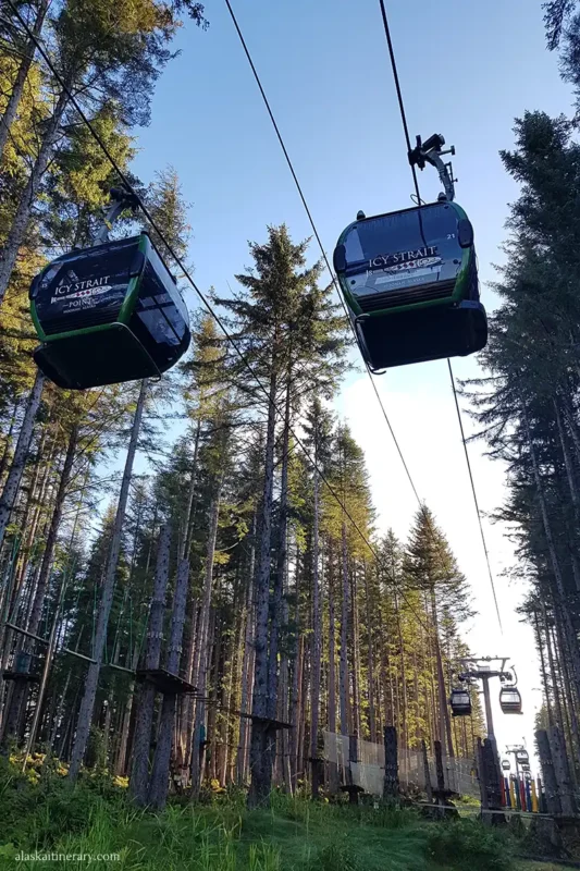 Two green Transporter Gondola Ride cars glide above the trees at Icy Strait Point and are no fees.