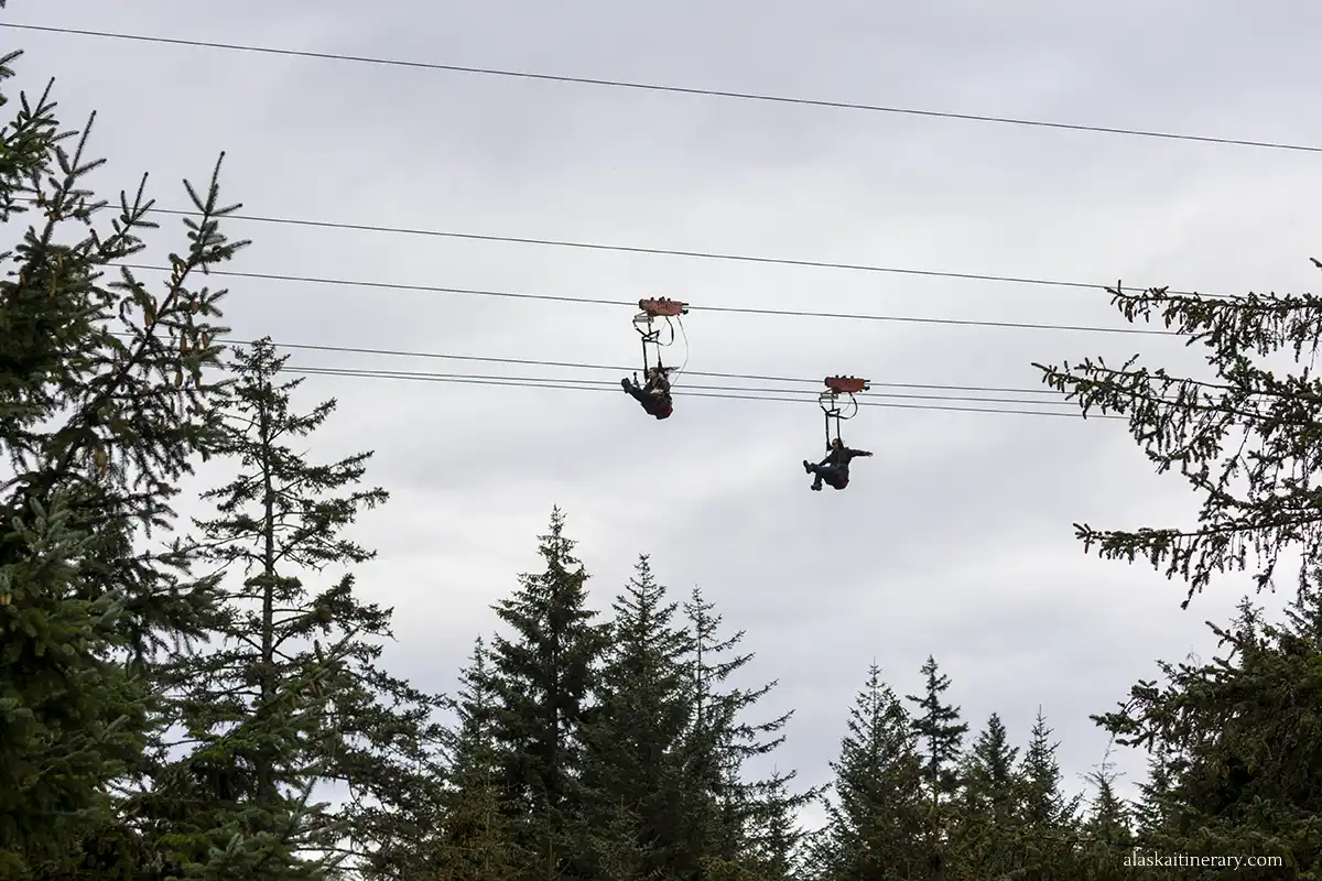 Two people rappel during the Zip Lining Adventure in Icy Strait Point.