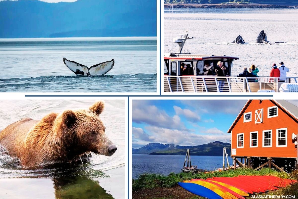 A photo collage showing the best shore excursions at Icy Strait Point: whale watching, bear viewing, kayaking.