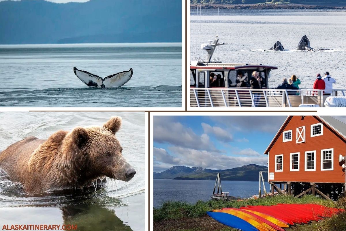 A photo collage showing the best shore excursions at Icy Strait Point: whale watching, bear viewing, kayaking.
