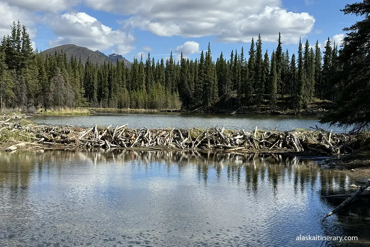 Beaver Dam Spur on the lake.