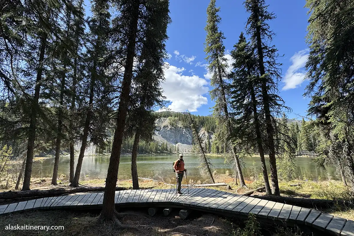 Agnes Stabinska, author, stands on a wooden footbridge on the Horseshoe Trail in Denali National Park.
