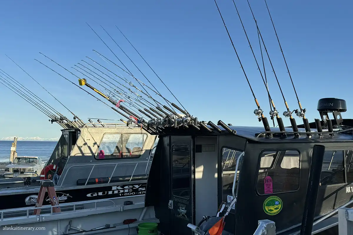 Catch of a Lifetime: Halibut Fishing Adventures in Homer, Alaska