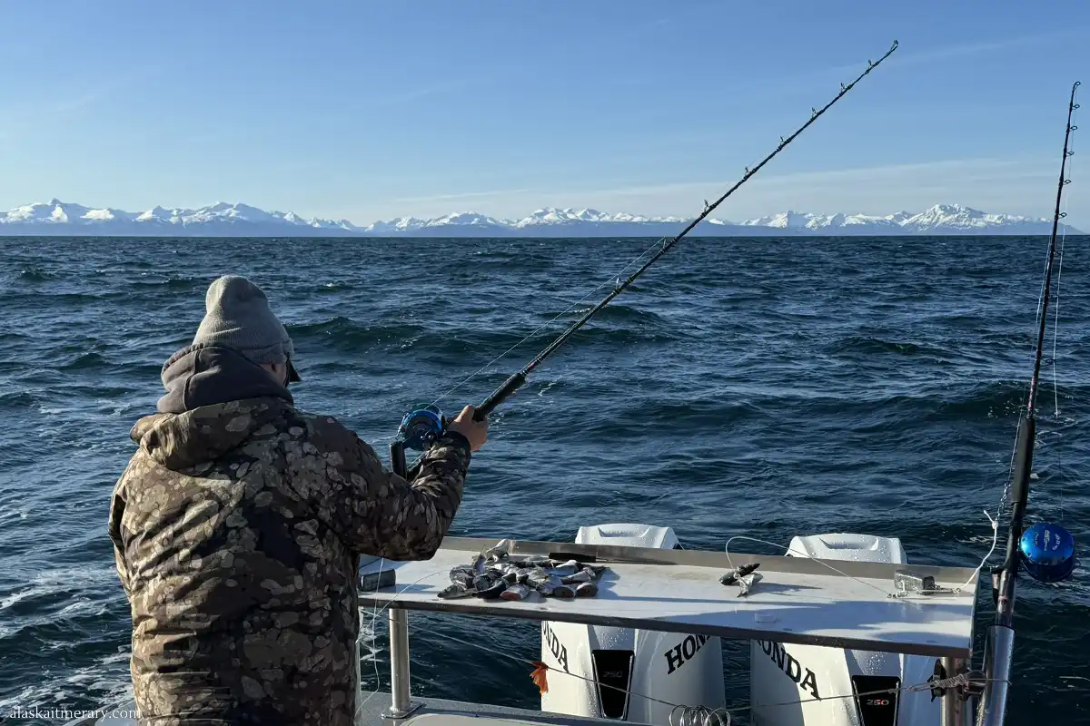 Catch of a Lifetime: Halibut Fishing Adventures in Homer, Alaska