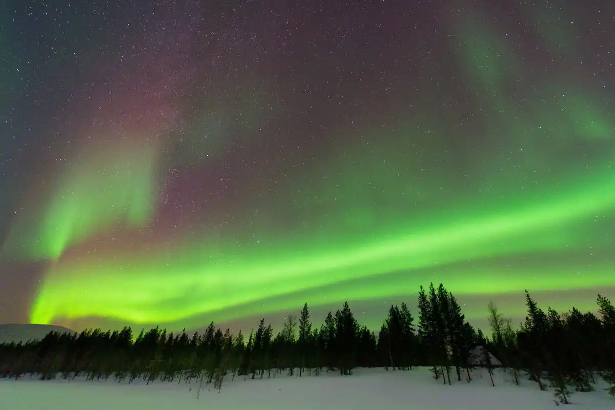 Green Aurora Borealis on the dark sky in winter scenery.