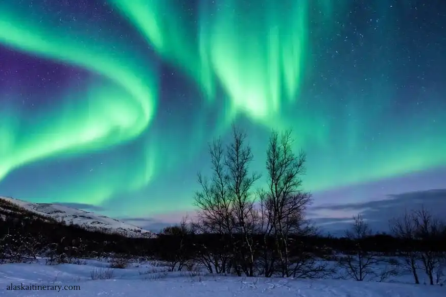 Aurora borealis in Alaska in winter.