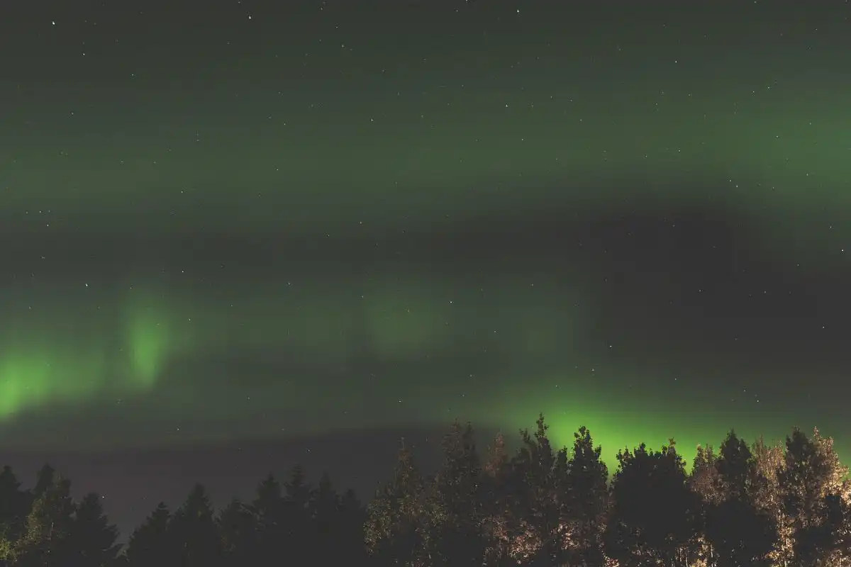 Green Northern Lights in the dark sky.