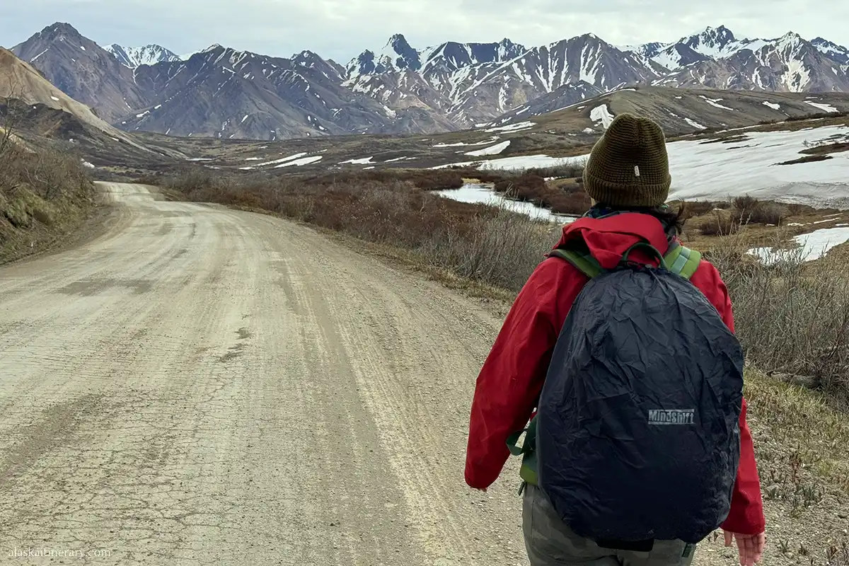 Agnes Stabinska, the author, on the Denali road, after hop-off the transit bus.