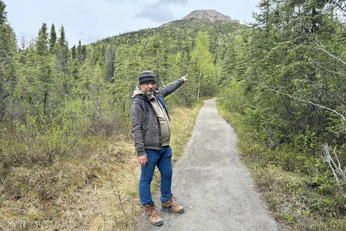 Chris points to the peak of Mount Healy.