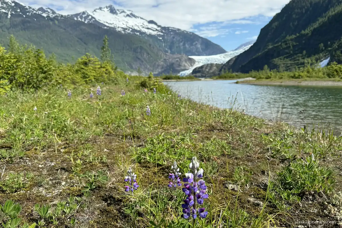 Mendenhall Glacier tour.