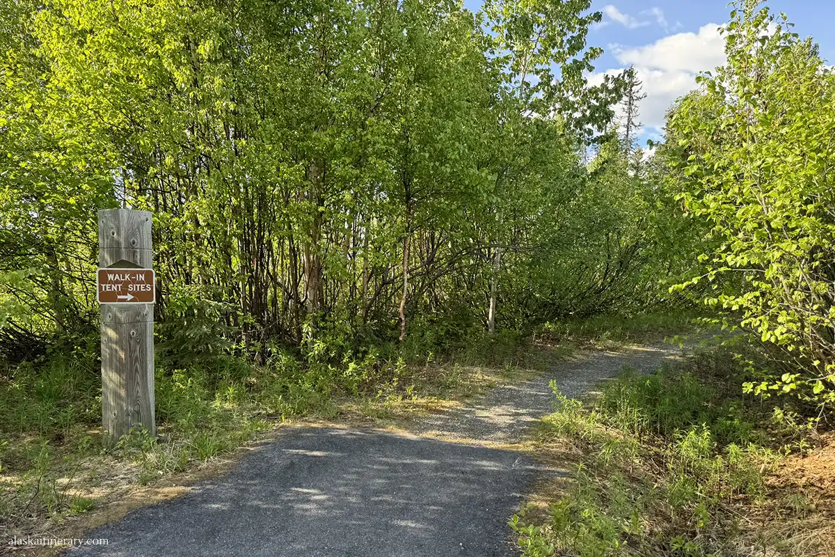 Walk-in tent sites on Denali View South Campground.