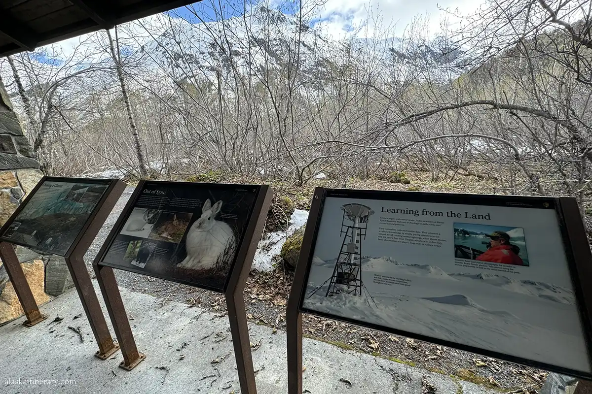 Informative board in Exit Glacier Nature Center.