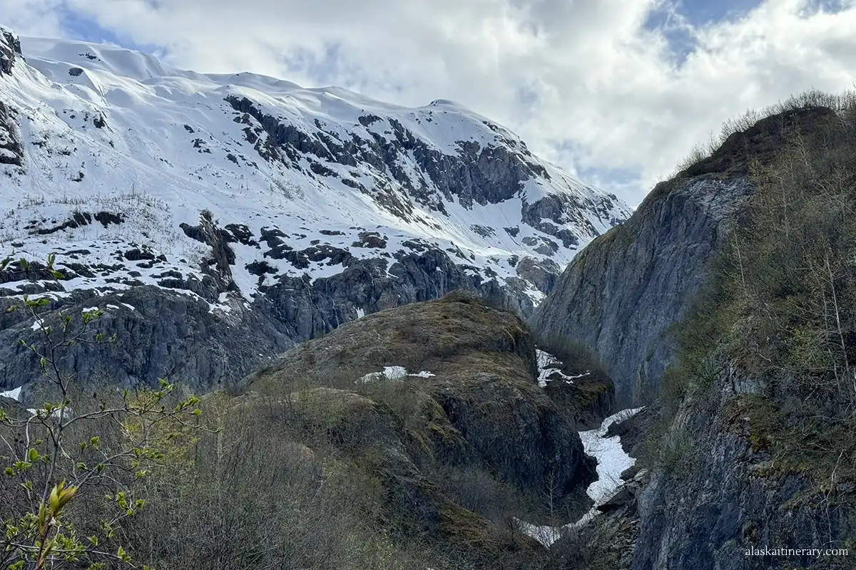 Hiking trails Exit Glacier.