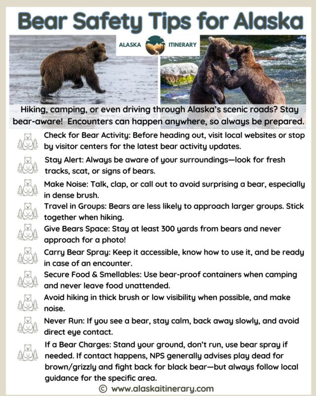 Detailed list with bear safety tips for Alaska.