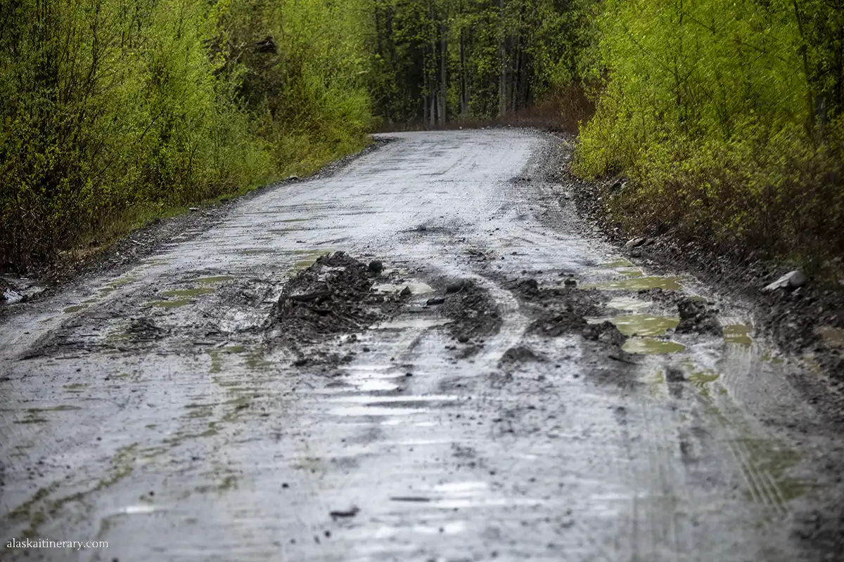 The uneven surface of McCarthy road after rain with ruts.
