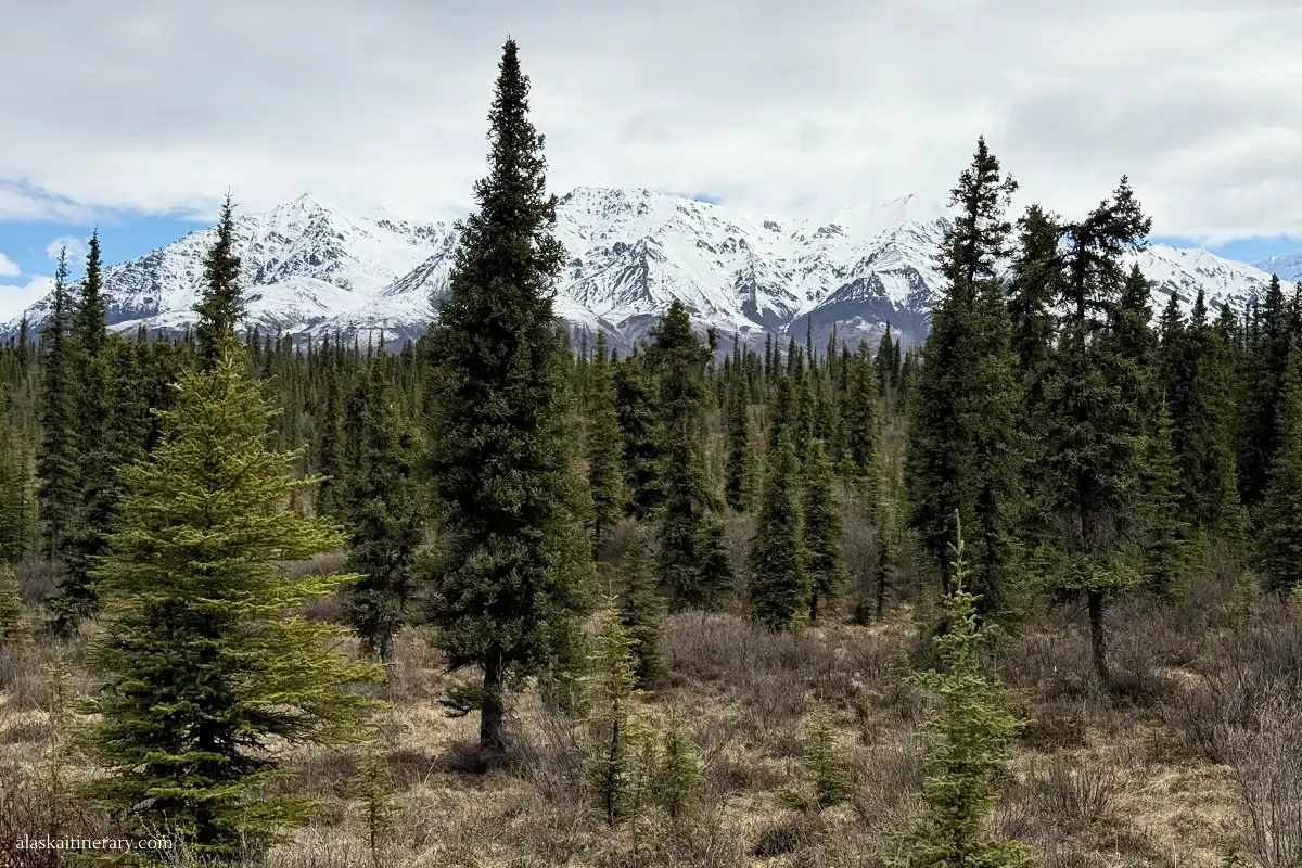 Stunning mountain view from camping spot along Nabesna Road.
