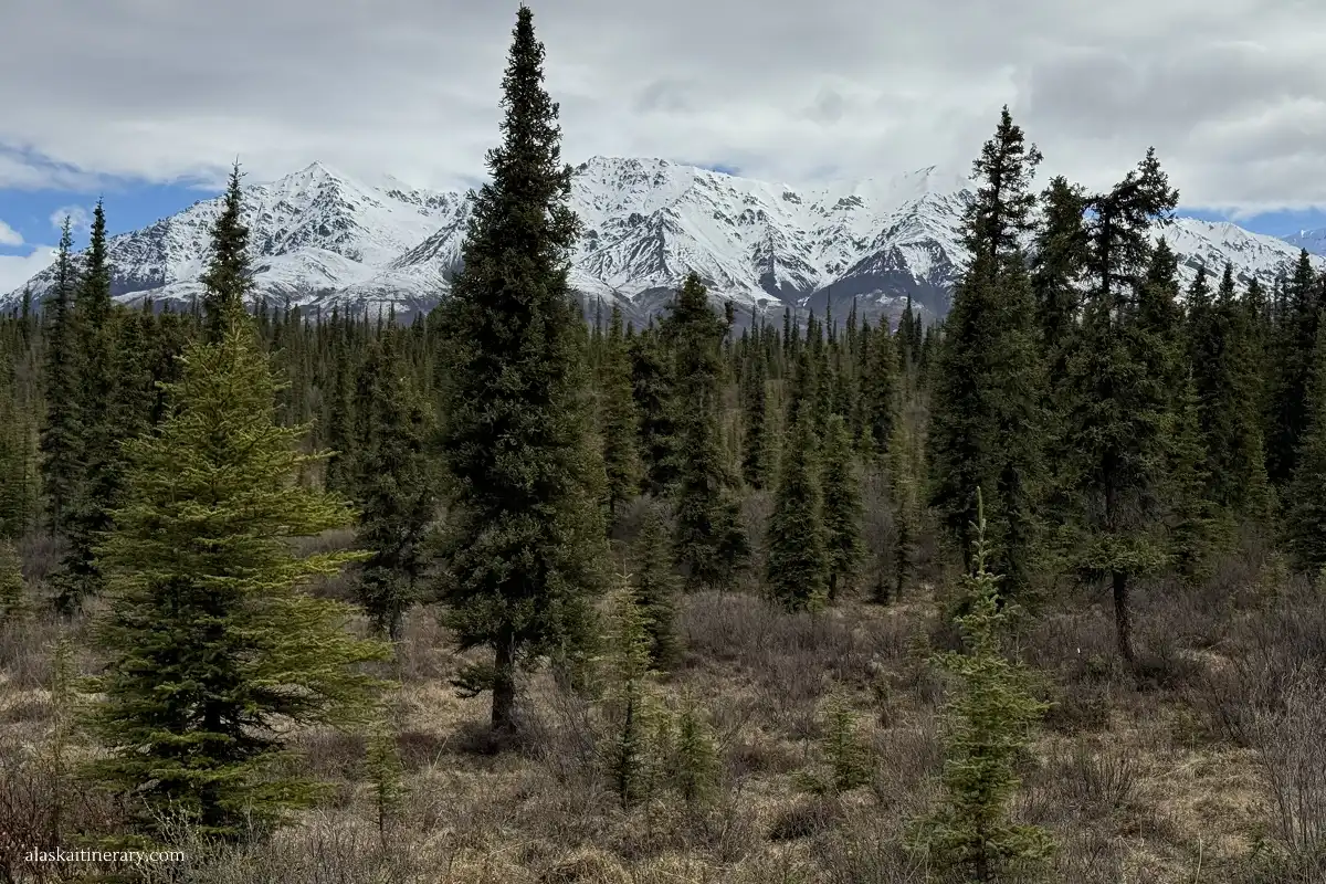 Stunning mountain vistas along Nabesna Road.