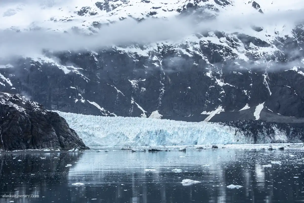 Scenic Cruise Through Glacier Bay National Park and its glaciers.