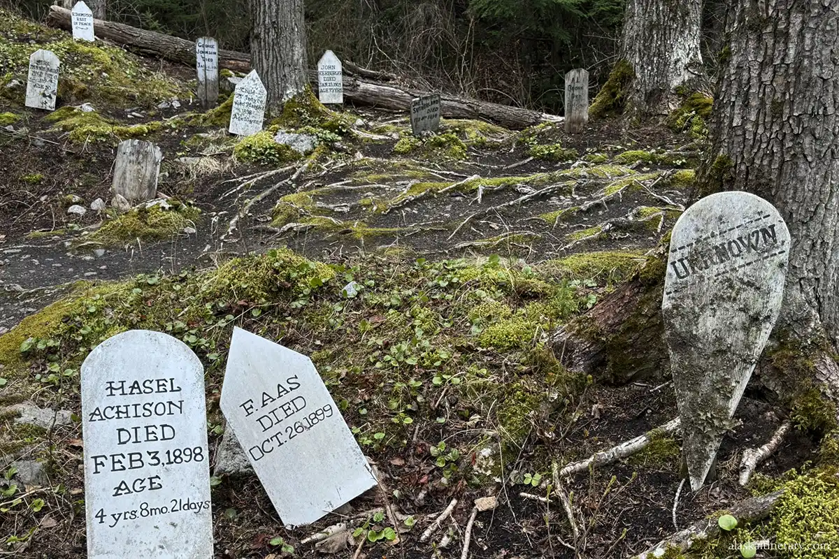 Old graves dated at 1989 in Skagway.