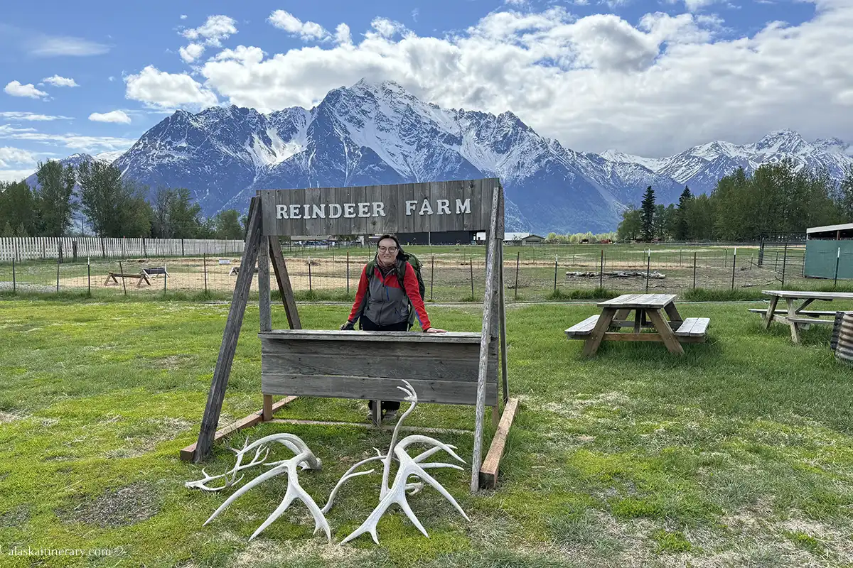 Agnes Stabinska, the author, visiting the reindeer farm in Palmer.