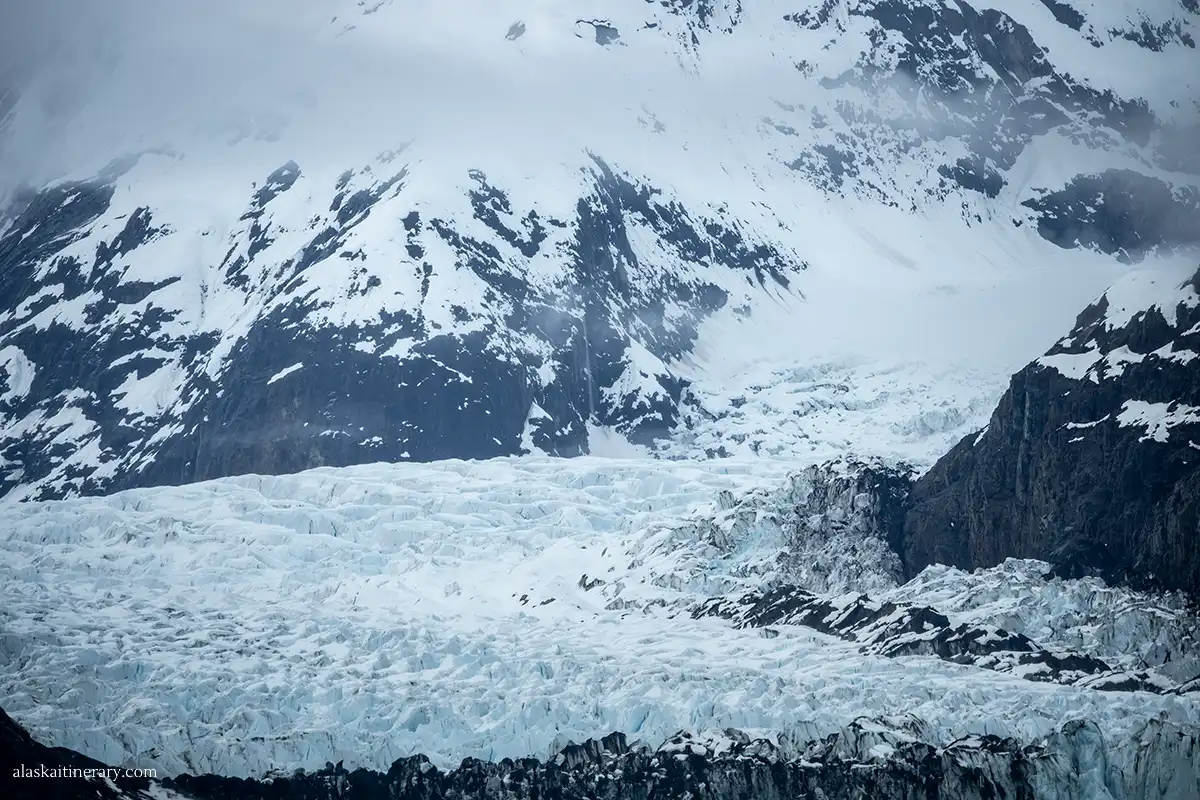 Foggy day in Glacier Bay.