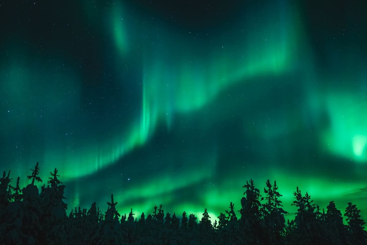Northern Lights over trees in Alaska.