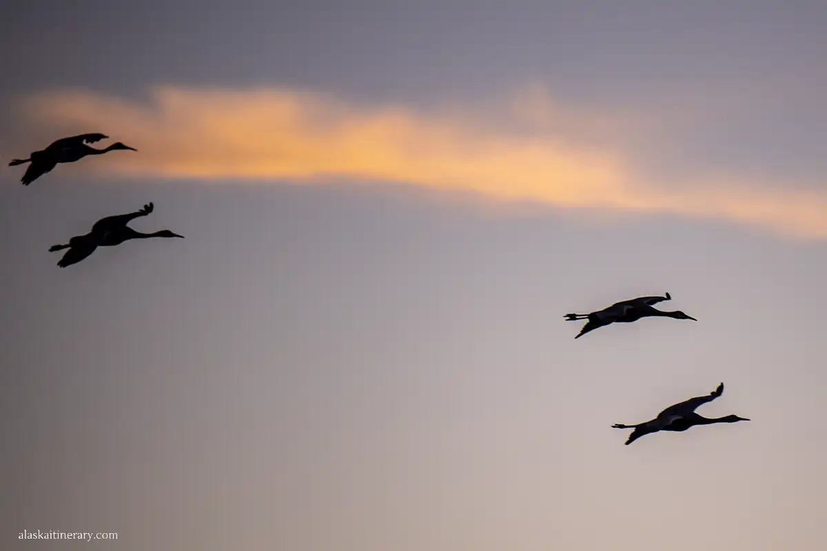 Snadhill cranes on the sky.
