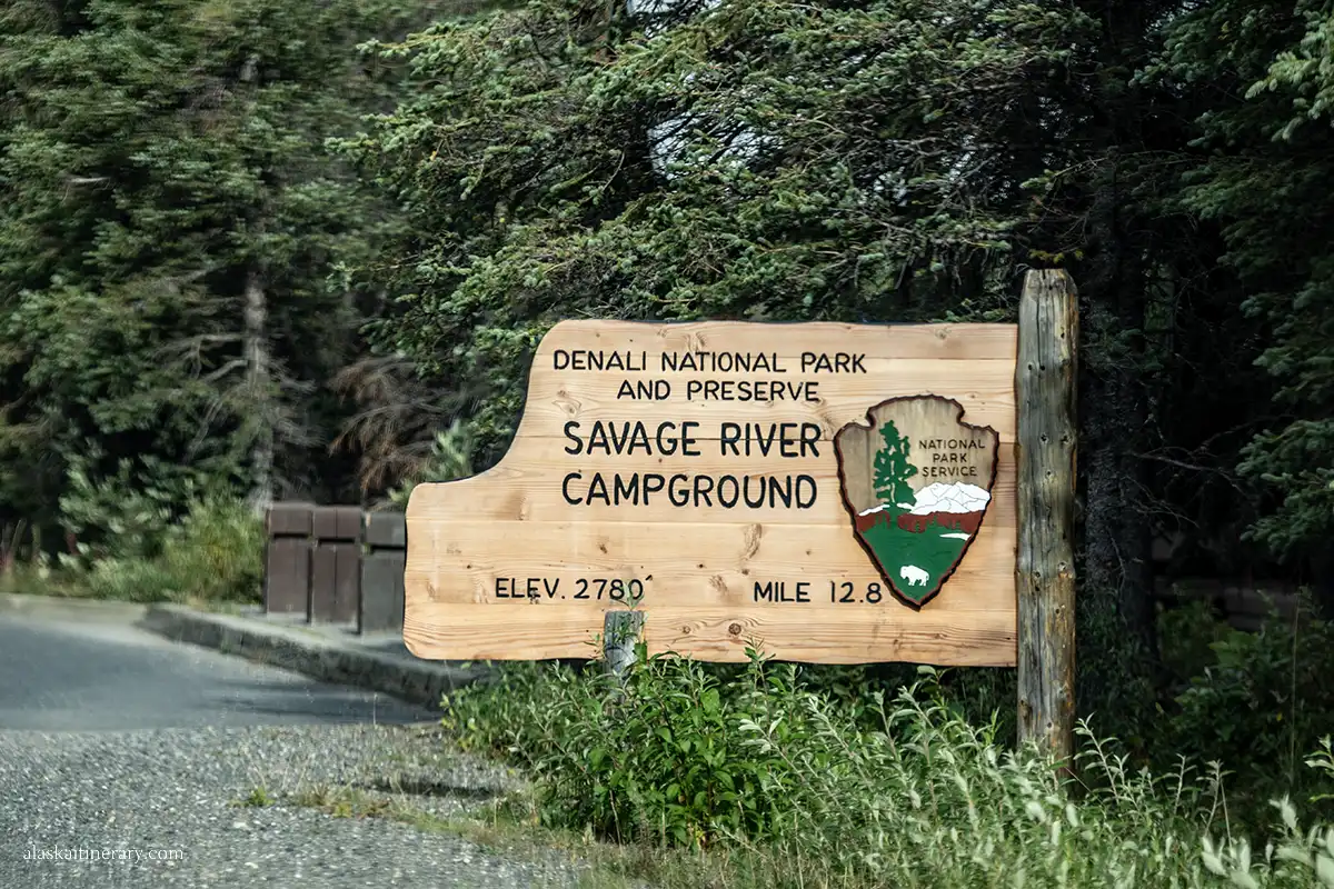 Savage River Campground in Denali.