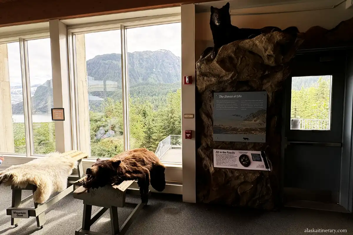 Accessible Mendehall Glacier Visitor Center.