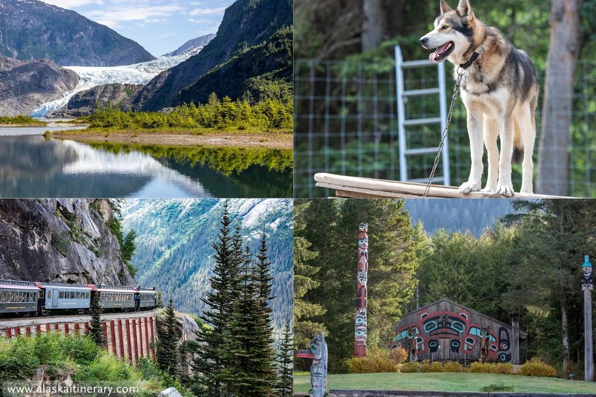 Alaska shore excursions: Mendenhall glacier tour, totem poles, scenic train ride and dog kennels.