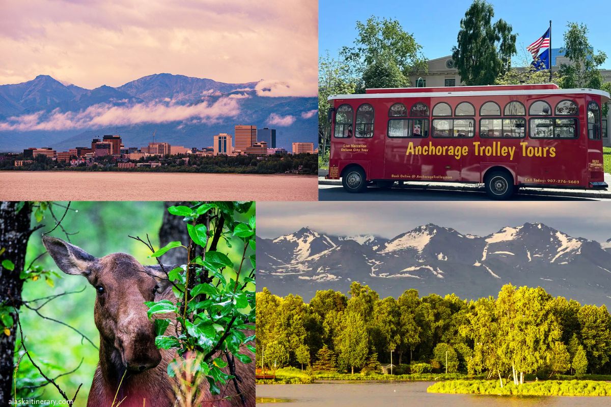 Photo collage with Anchorage Travel guide: scenic sity skyline with mountain backdroptrolley trammoose in the city parkWestchester Lagoon with stunning mountain backdrop. 